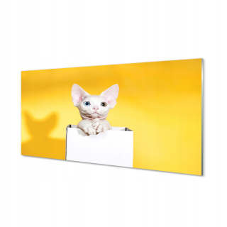 Grafika na stenu Graphics sedenie Cat 120x60