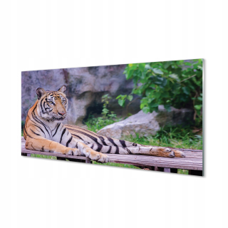 Modern Plexisklass Graphics Tiger v zoo 140x70 cm