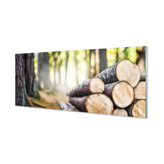 Moderný obraz dekor drevený prírodný les 125x50