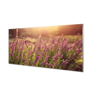 Moderný výtlačok obrázka Plexiskla 120x60