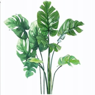 Nálepka na stenu - NÁLEPY NA STENU MONSTERA LEAVES šatníkový nábytok sklenené zrkadlo do domácej izby