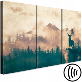 Murando akustický obrázok 135x90 B-C-0735-B-H