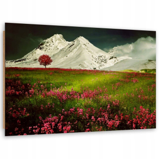 Obrázok panela Deco, hory v snehu a farebná lúka -