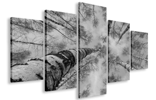 Obrázok pre strom obývacej izby 200x120 Giant