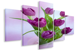Obrázok pre gigant Salon Tulips 200x120