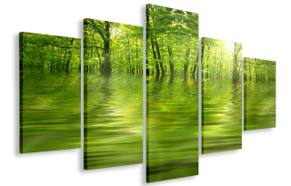 Obrázok pre Green Forest Salon 200x120 Giant