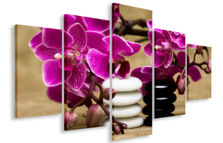 Obrázok gigant orchideu kamienky 150x100 plátno