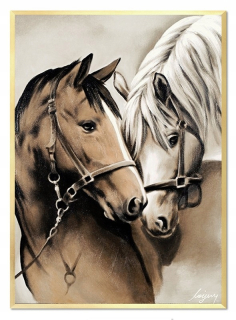Picture Horse Oil Canvas Rám 53x73