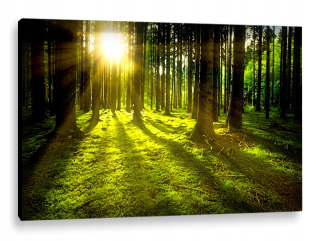 LED maľba 100x70 - osvetlená - slnečná žiara