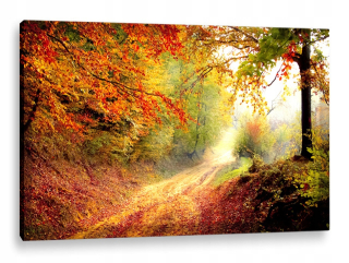 LED maľba 100x70 - podsvietenie - slnečný les