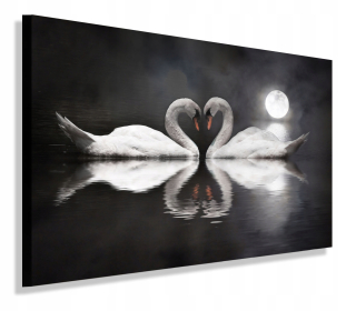 Obrázok LED 80x50 - podsvietenie - labute