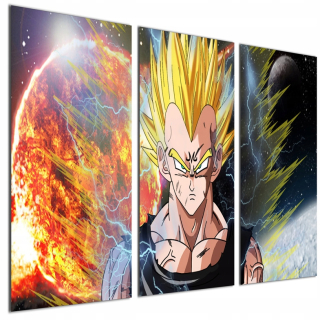 Nástenná maľba Dragon Ball 70x150