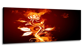 Maľovanie panorámy Burning Rose 170x70 na plátne