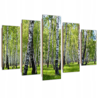 Päť -časový obrazový panel, breza - 150x100