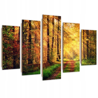 Päť -časový obrazový panel, Forest Road - 20