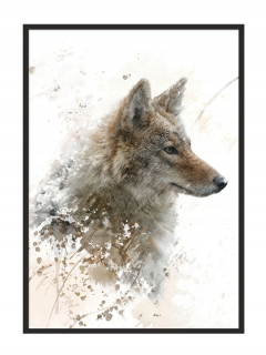 Plagátové plagáty Zvieratá v ráme 53 x 73 cm