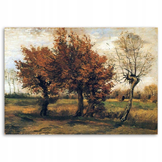 Reprodukcia obrázkov Jeseň krajina Van Gogh, 120x80