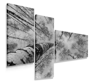 Triptych Image 110x80 Moderný strom