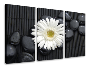Obrázok Triptych White Flowers Triptych 120x80