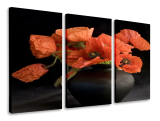 Obrázok Triptyka Maki 120x80