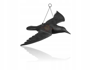 Záhradné chybné Piedak Pigeon Starlings of the Strass Kruk2