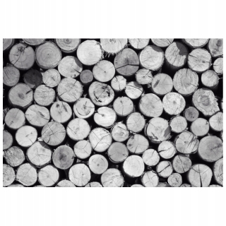 Čierna a biela hromada dreva 368x248