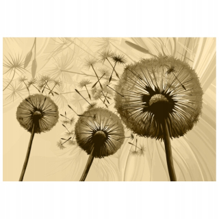 Dandelion Dýha na krémovom pozadí 368x248