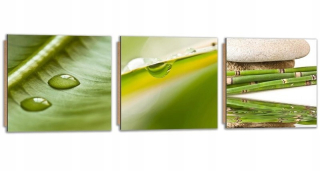 Obrázok 3 dielov Deco Panel, Triptych kvapky na listoch