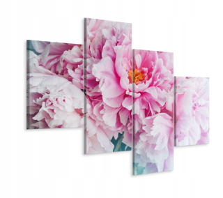 Obrázok 4-dielnej Natura 3d 240x150 Pivonies Bytice