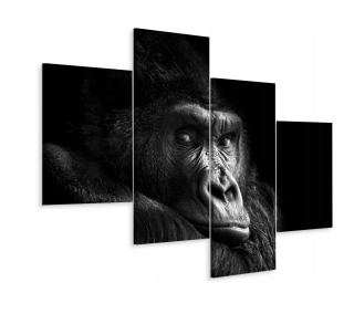 Obrázok 4 Portrét čiastočnej opice Gorilla 3d 240x150