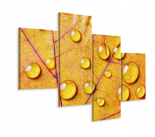 Obrázok 4 čiastočné kvapky Leaf Nature Makro 240x150