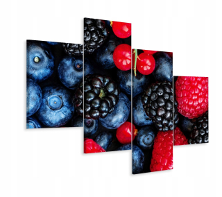 Obrázok 4 Čiastočné lesné ovocie makro stupnice 240x150