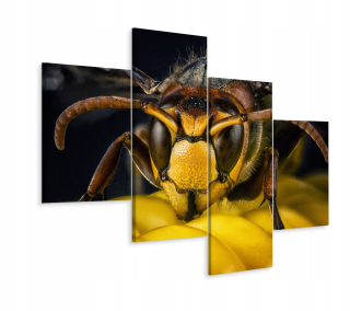 Obrázok 4-dielny hmyz OSA makro dekor 3d 240x150
