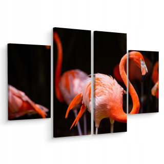 Obrázok 4-dielne vtáky Flaminga Natura 3d 160x120