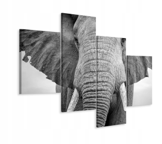 Obrázok 4 Čiastočné slona Up Close 3d Animal 160x100