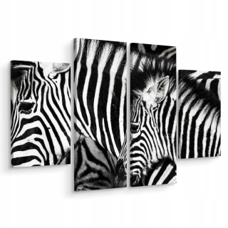 Obrázok 4 Čiastočné stádo Zebras 3D Animals 160x120