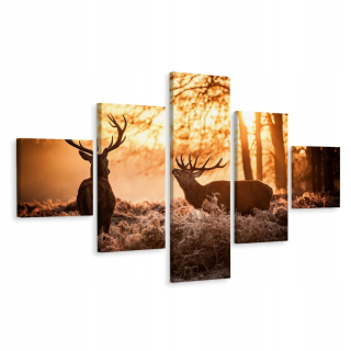 Obrázok 5 Čiastočné jelene Sunset 3d 200x120