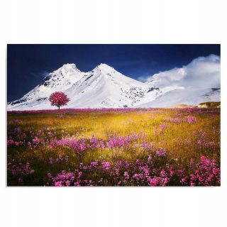 Obrázok Alps 120x80