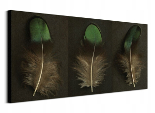 Alyson Fennell Triptych Bird Feathers Painting 100x50 cm