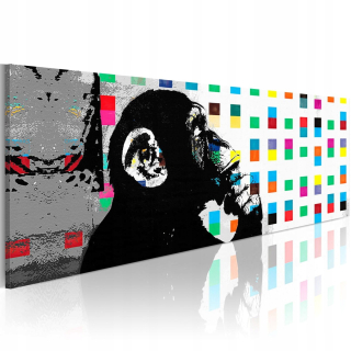 Obrázok - bankár: The Thinker Monkey - 150x50