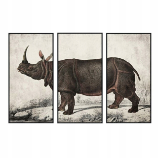 Obrázok DKD DOMOV DECON COLONIAL RHINOCEROS (180 x 4