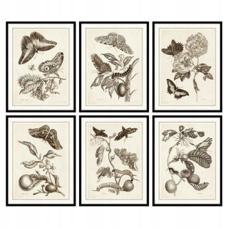 Obrázok DKD DOMOV DECON KVETY (50 x 2,5 x 65 cm) (6 P