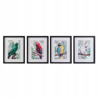 DKD Home Decor obraz Tropický papagáj (35 x 2,5 x