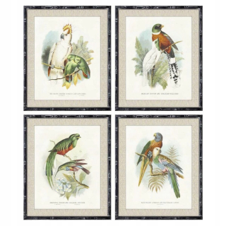 DKD obraz Home Decor Birds (50 x 2 x 60 cm) (4 ks