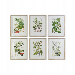 Obrázok DKD Domáce dekorácie Botanické rastliny (55 x 2 x