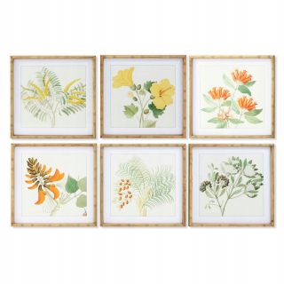 DKD Domáce dekorácie Obrázok botanické rastliny (50 x 2,8