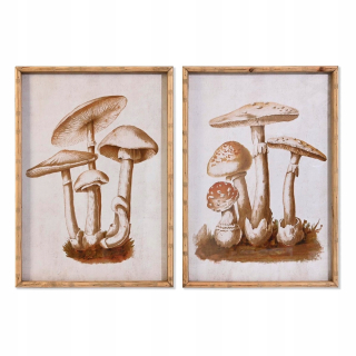 Obrázok DKD Domáce dekorácie sklenené bambusové huby (50 x 70