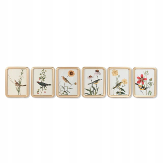 Obrázok DKD Home Decor VTák Shabby Chic (30 x 2 x 40