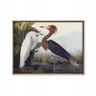 Obrázok DKD DOMÁCNA DECON v rámci Birds Wood MDF (105