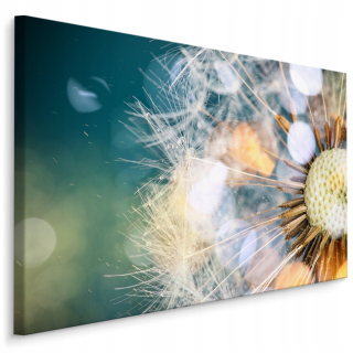 Picture Púpava Up Up Close Makro 120x80